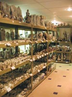 The largest collection of horsehair pottery available anywhere