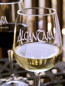Alcantara wine glass