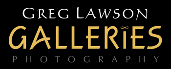 Greg Lawson Galleries logo